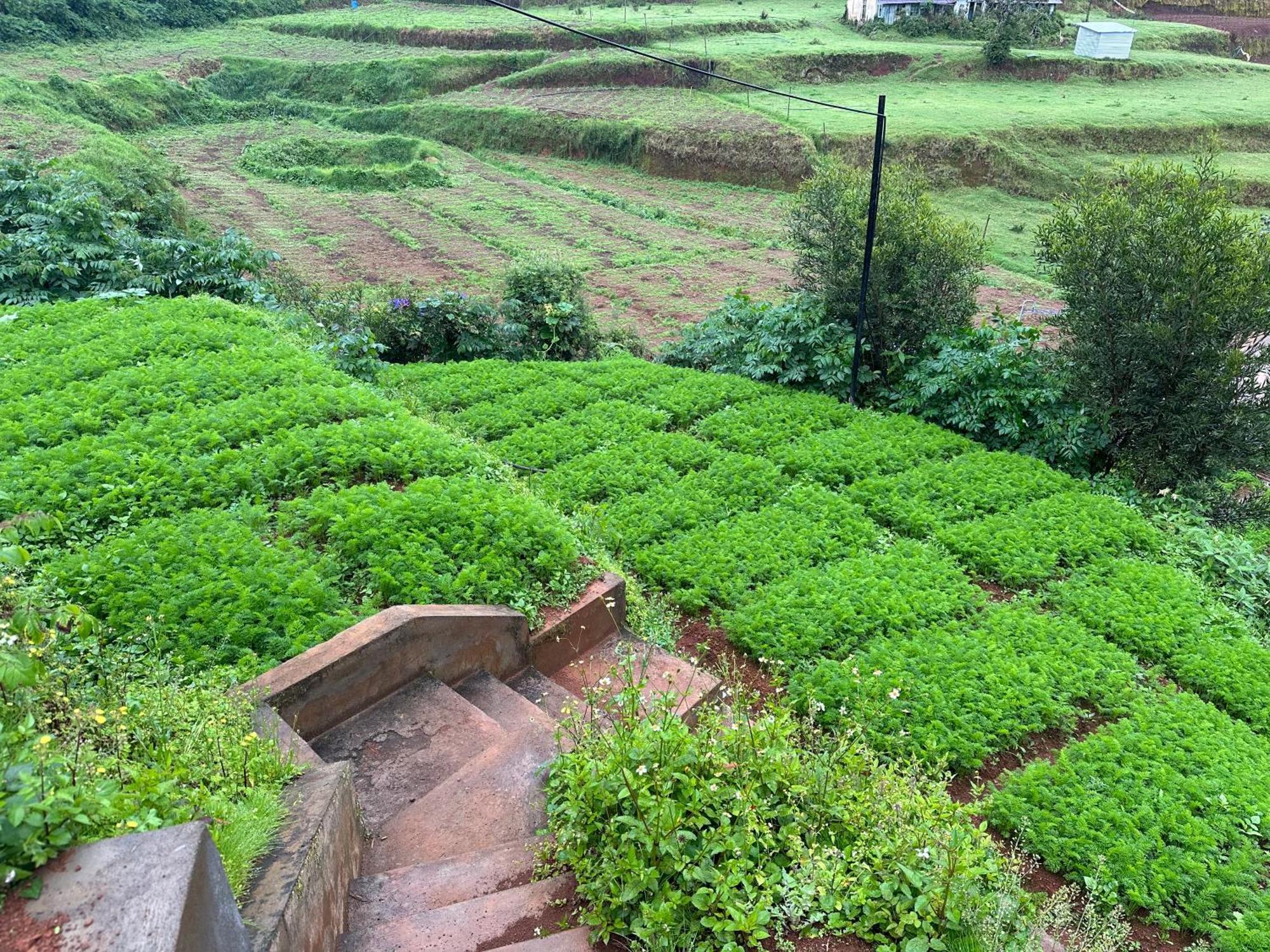 Kanjira House Ooty Exterior photo