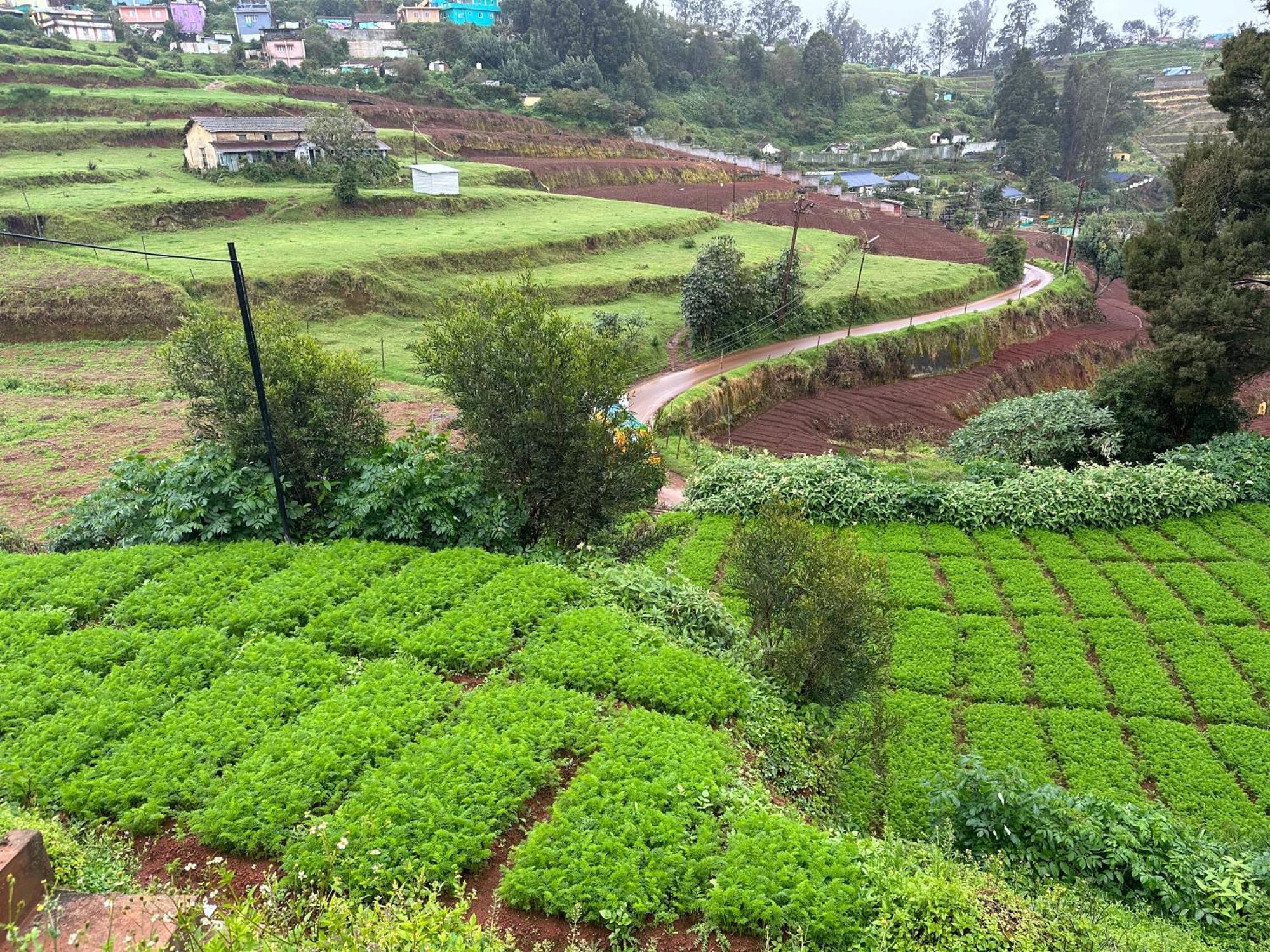 Kanjira House Ooty Exterior photo